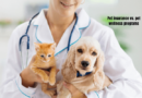 Pet Insurance vs. Pet Wellness Programs: What’s the Difference and Which One Is Right for Your Pet?